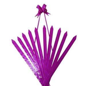 Moño fácil Pax por 10 unidades ( mediano ) - fucsia