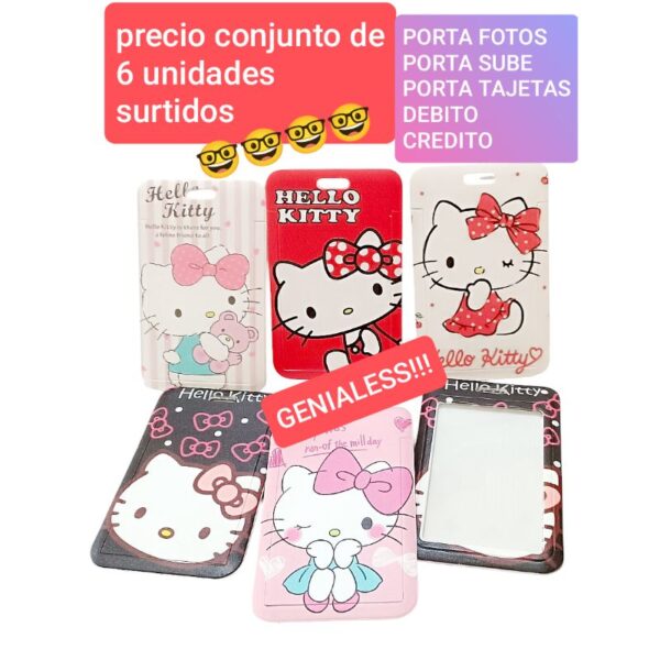 Precio conjunto de 6 unidades surtidos