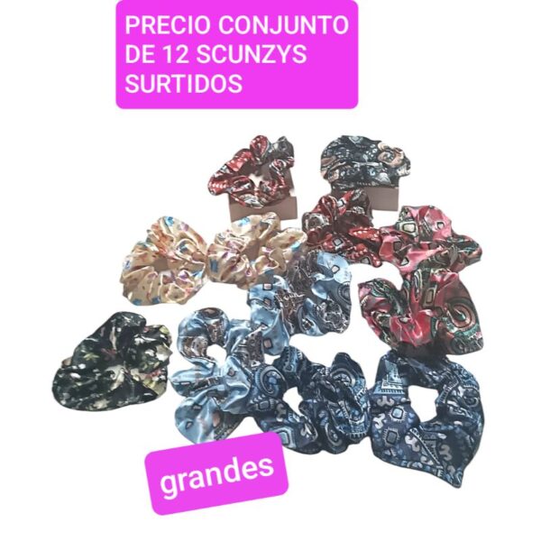 Precio conjunto de 12 SCUNZYS surtidos