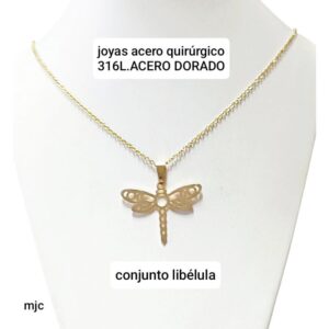 Conjunto libélula