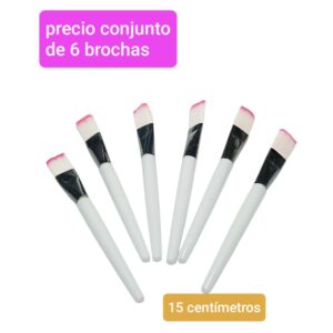 Precio conjunto de 6 brochas