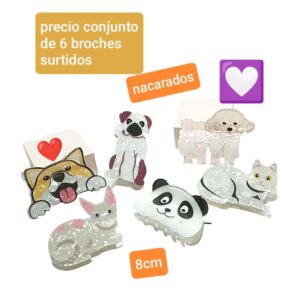 Precio conjunto de 6 broches surtidos