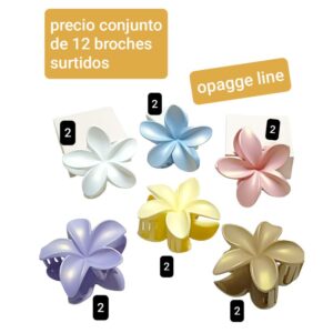 Precio conjunto de 12 broches surtidos
