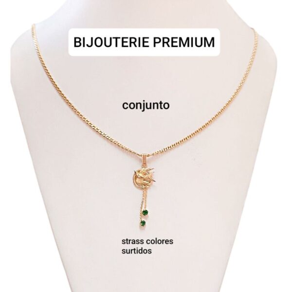 Conjunto bijou premium
