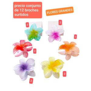 Mm68./69.precio conjunto de 12 broches surtidos