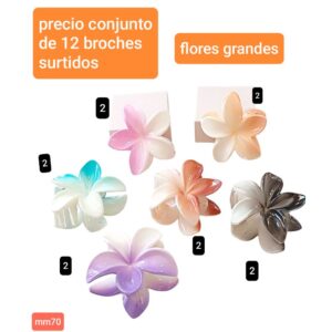 Mm70.precio conjunto de 12 broches surtidos
