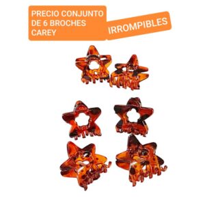 Precio conjunto de 6 broches