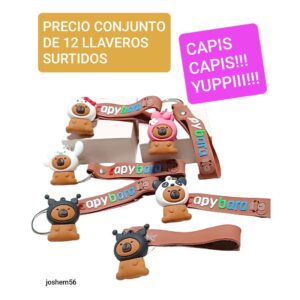 Joshem56. precio conjunto de 12 llaveros surtidos
