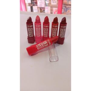 labial matte combo por 6 unidades surtidas de colores