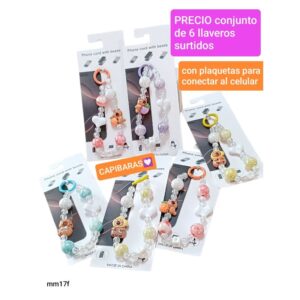 Mm17f.precio conjunto de 6 llaveros surtidos