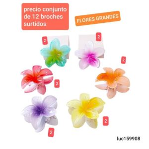 Luc159908.precio conjunto 12 broches surtidos