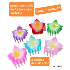 Luc159907.precio conjunto de 12 broches surtidos