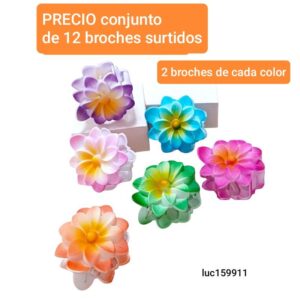 Luc159911.precio conjunto de 12 broches surtidos