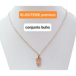 Conjunto buho