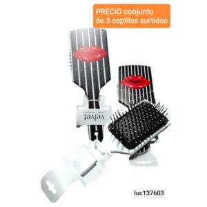 Luc137603..PRECIO conjunto de 3 cepillos surtidos