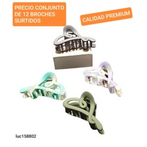 Luc158802..PRECIO conjunto de 12 broches surtidos