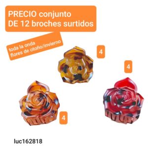 Luc162818.precio conjunto de 12 broches surtidos