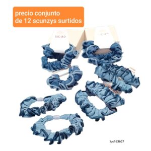 Luc163607.precio conjunto de 12 scunzys surtidos