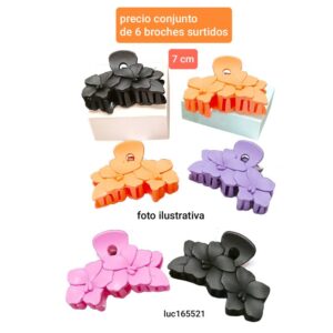 Luc165521.precio conjunto de 6 broches surtidos