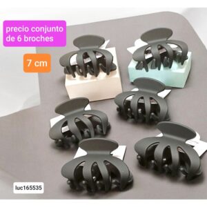 Luc165535.precio conjunto de 6 broches