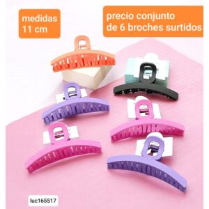 Luc165517.precio conjunto de 6 broches surtidos