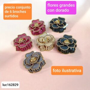 Luc162829.precio conjunto de 6 broches surtidos
